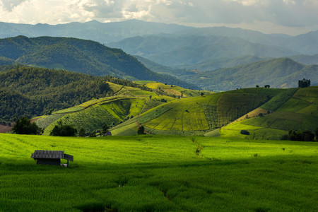 Rolling green hills and rice fieldの写真素材
