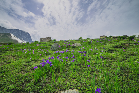 Rolling green hills and skyの写真素材