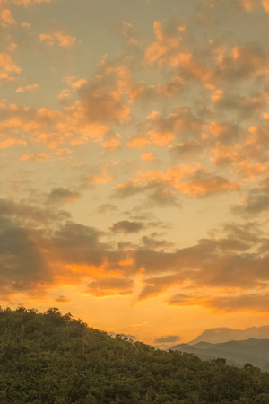 Summer landscape in the mountains. Sunriseの写真素材