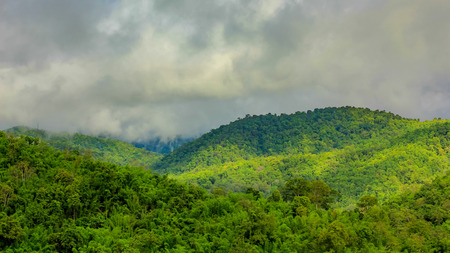 Morning Mist at Tropical Mountain Rangeの写真素材