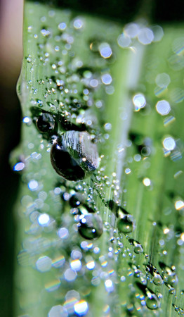 Water Drop