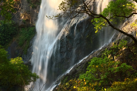 Waterfall in forestの写真素材