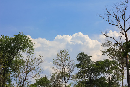 Sky and cloudsの写真素材