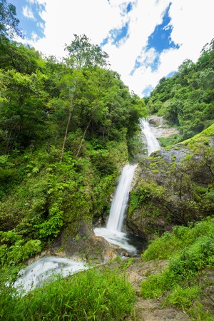 waterfall in forestの写真素材