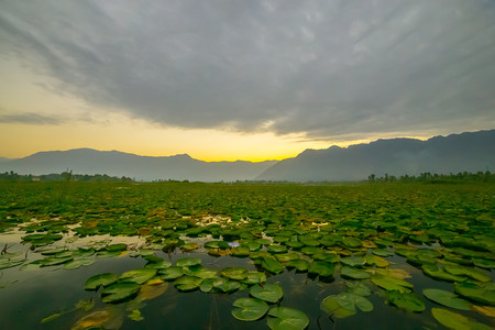 Lake in morningの写真素材