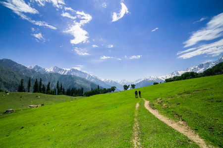 Green field with the mountainsの写真素材