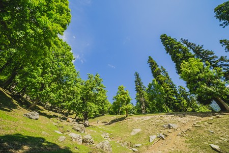 Mountains meadows surrounded with sky and cloudの写真素材