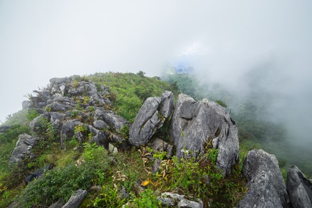 Morning mistの写真素材