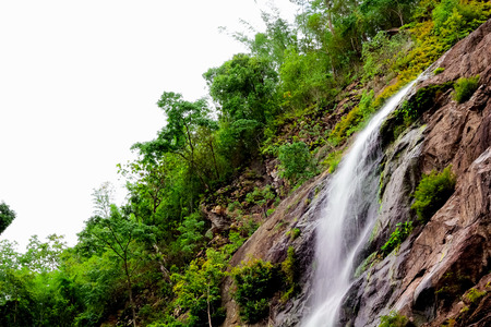 Waterfall in rain forest