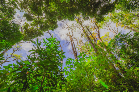 Wilderness Areaの写真素材