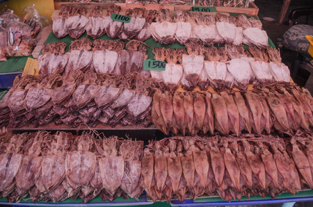 Dried squidの写真素材