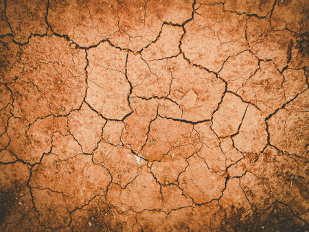Dry and cracked earth background