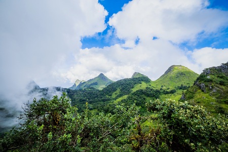 Morning Mist at Tropical Mountain Rangeの写真素材