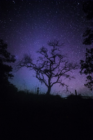 Milky Way