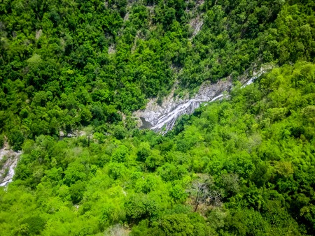 Aerial view of the forestの写真素材