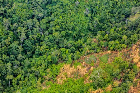 Rain forest destruction in Thailand form Aerial viewの写真素材