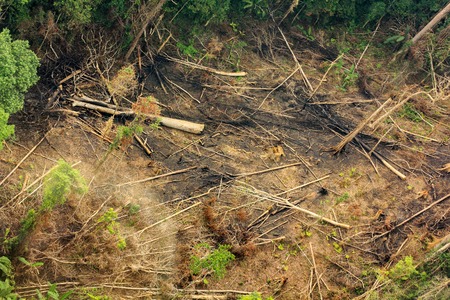 Rain forest destruction in Thailand form Aerial viewの写真素材