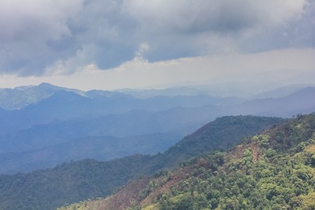 Aerial view of the forestの写真素材