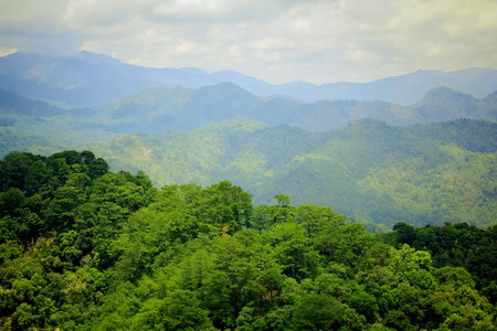 Aerial view of the forestの写真素材