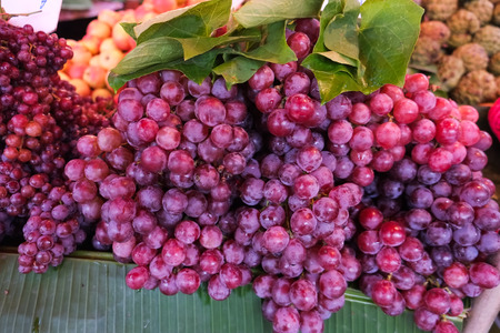 red grapeの写真素材