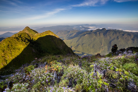 Summer landscape in the mountainsの写真素材