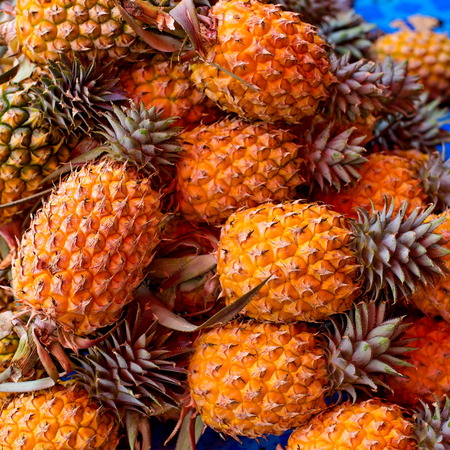 gold pineapplesの写真素材