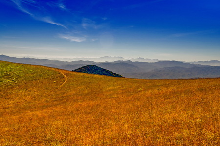 field on hillside in mountains near village in morning lightの写真素材