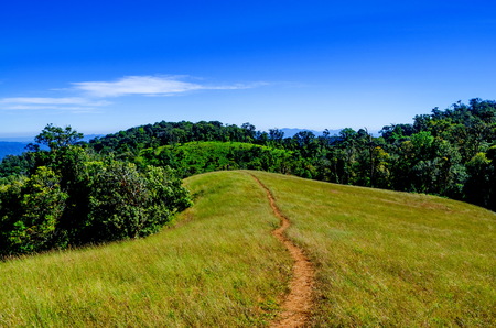 field on hillside in mountains near village in morning lightの写真素材