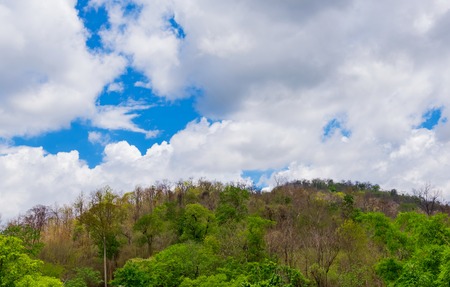 cloud over forest and mountainの写真素材