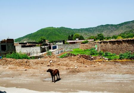 A local village in the valley, Pakistanの写真素材