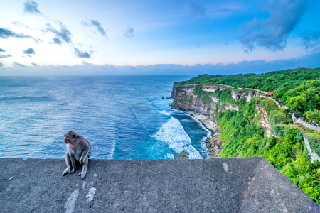 Scenic landscape of high cliff at Uluwatu Temple, Bali, Indonesia