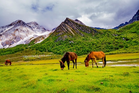 Yading Nature Reserve. a famous landscape in Daocheng, Sichuan, China.の写真素材