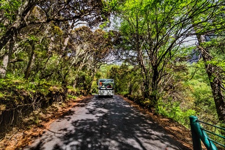 Car on a road in the forest in autumn.の写真素材