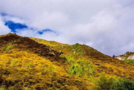 mountain in autumnの写真素材