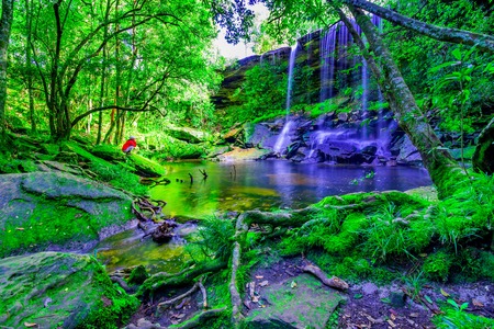 beautiful tropical rainforest waterfall in deep forest, Phu Kradueng National Park, Thailandの写真素材
