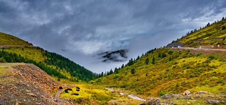 Great view of the alpine valley that glowingの写真素材