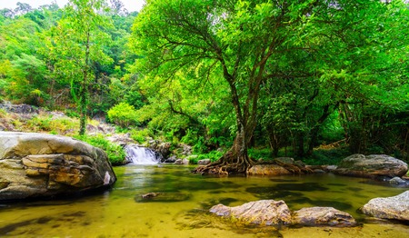soft water of the stream in the natural park