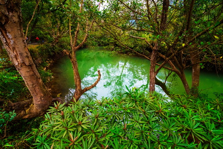 Waterfall flowing to water streamの写真素材