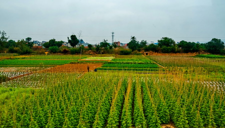 rural scene near Village of Longsheng in Guangxi Province, China.の写真素材