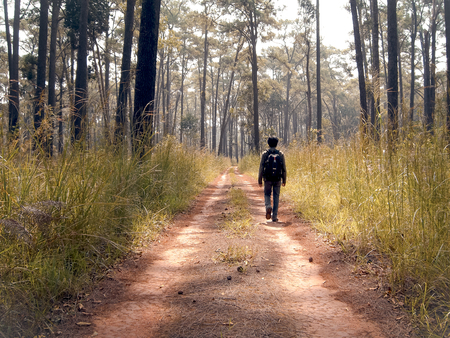 alone man hiking on dirt road in to the wildの写真素材