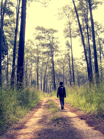 alone man hiking on dirt road in to the wildの写真素材