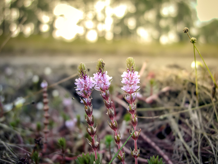 Beautiful natural landscapeの写真素材