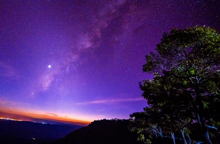 Milky Way and treesの写真素材