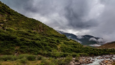 The mountain slope in lying cloud with the evergreen conifers shrouded in mist in a scenic landscape...