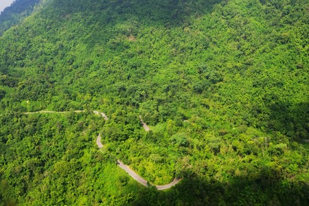 Aerial view of the rain forestの写真素材