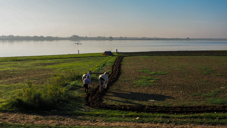 Life of fisherman and farmer at river side in Mandalay, Myanmar with wonderful sun light at morningの写真素材