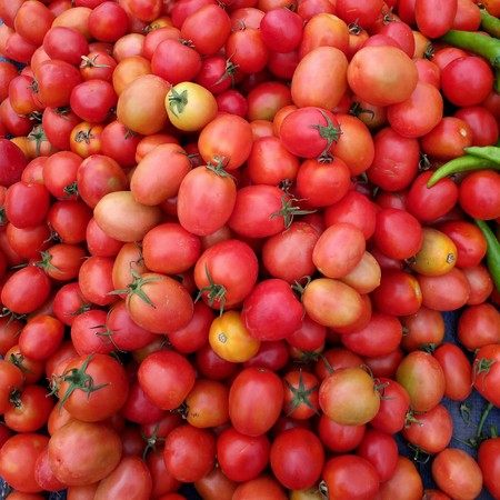 Qualitative background from tomatoes. Fresh tomatoes. Red tomatoes. Village market organic tomatoesの写真素材