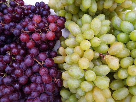 Healthy fruits Red and White wine grapes in the vineyard dark grapesの写真素材