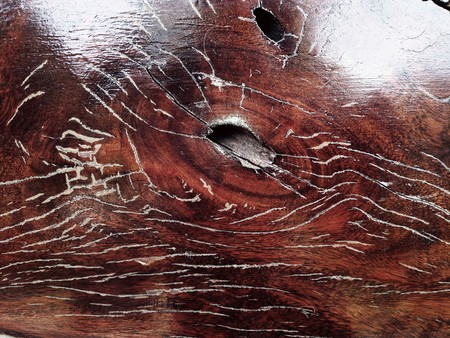 Old wood plank texture closeup background, Nature abstract texture backgrounds.の写真素材