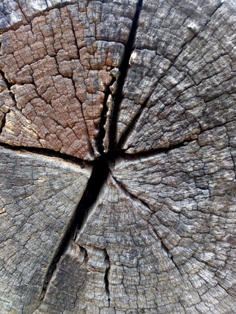 Old wood plank texture closeup background, Nature abstract texture backgrounds.の写真素材